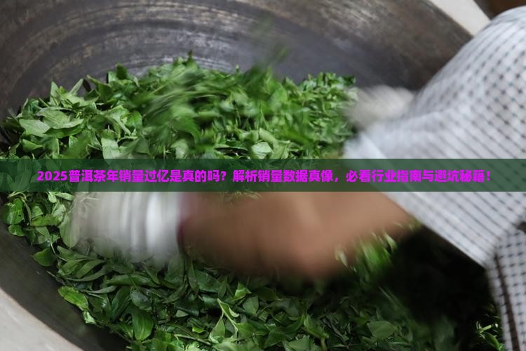 普洱茶年销量过亿吗