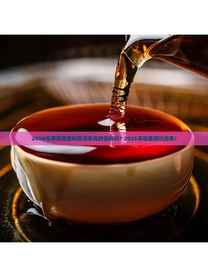 2008年薄荷塘老树普洱茶