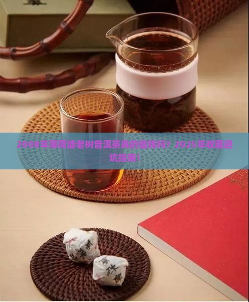 2008年薄荷塘老树普洱茶