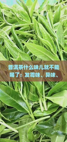 普洱茶什么味儿就不能喝了
