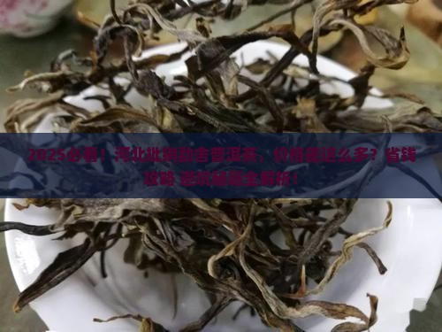 河北批销勐舍普洱茶