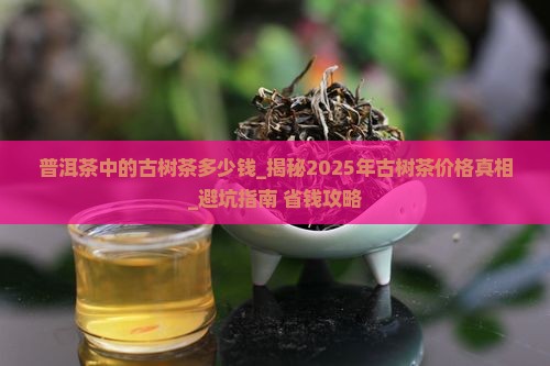 普洱茶中的古树茶多少钱