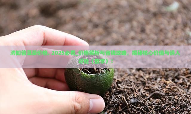 鸿如普洱茶价格