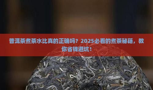 普洱茶煮茶水比