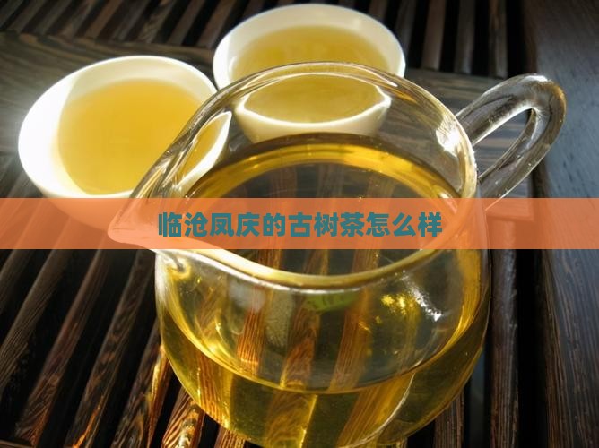 临沧凤庆的古树茶怎么样