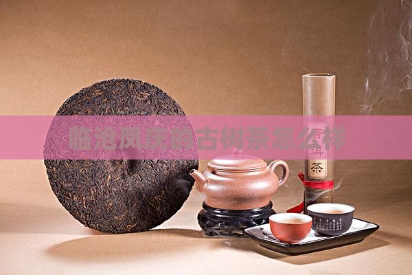 临沧凤庆的古树茶怎么样