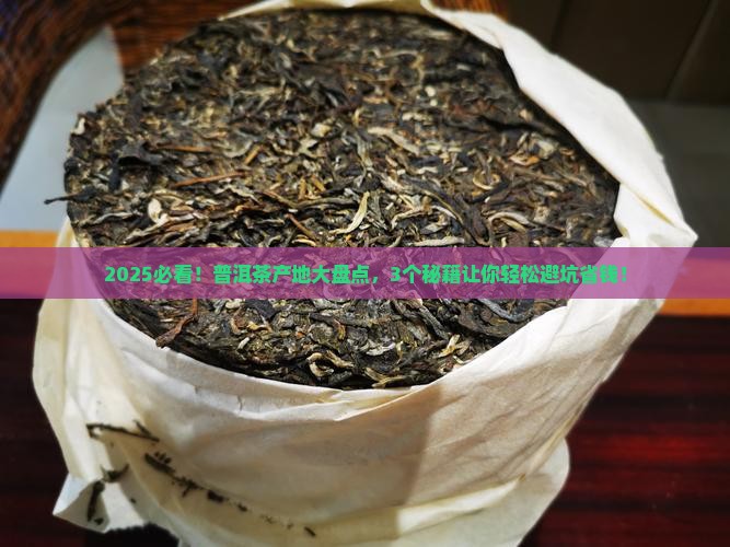 普洱茶哪些产地