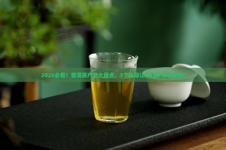普洱茶哪些产地