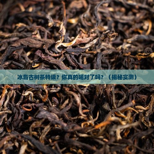 冰岛古树茶特级