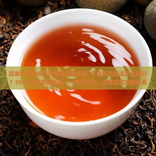 简单学会分辨干普洱茶和熟普洱
