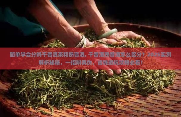 简单学会分辨干普洱茶和熟普洱