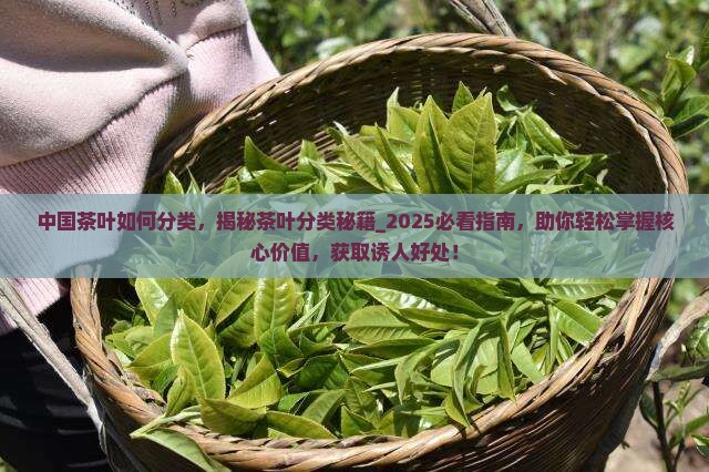中国茶叶如何分类