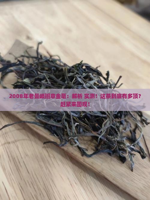2008年老曼峨班章金毫