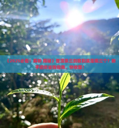 普洱茶三剑客是哪三个