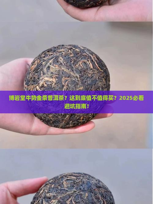 博岩堂牛势金条普洱茶