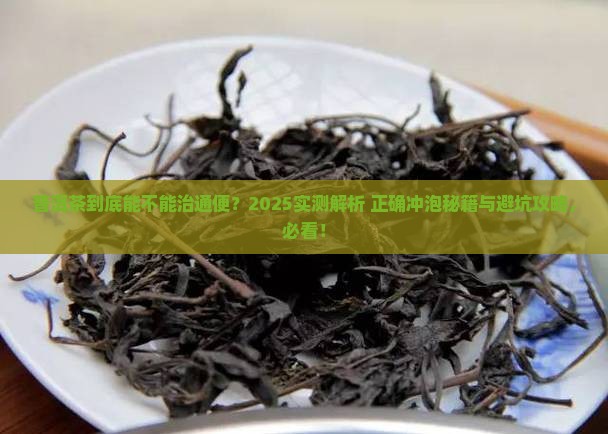 普洱茶治通便吗怎么泡