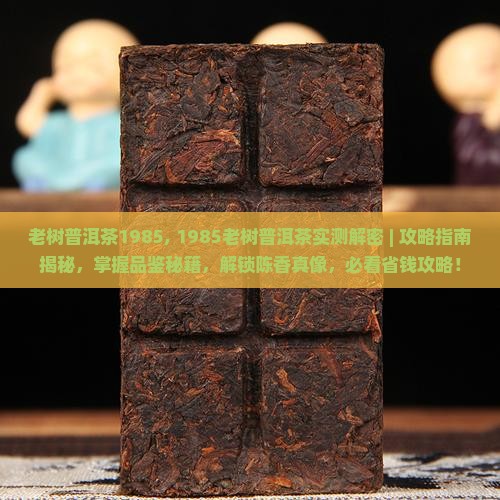 老树普洱茶1985