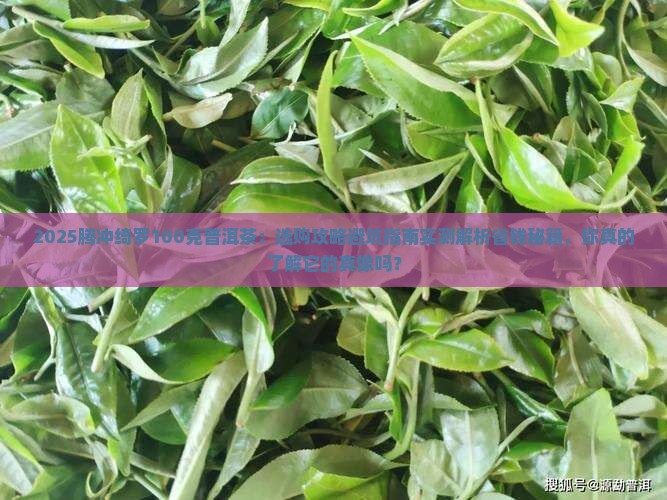 腾冲绮罗100克普洱茶
