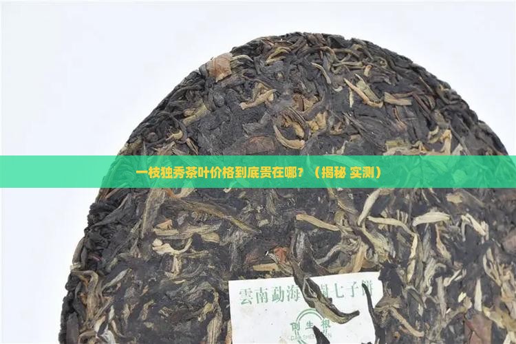 一枝独秀茶叶价格