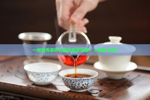 一枝独秀茶叶价格