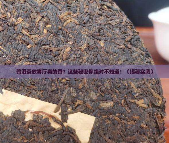 普洱茶放在客厅好不好