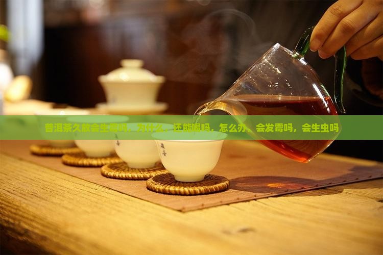 普洱茶久放会生霉吗