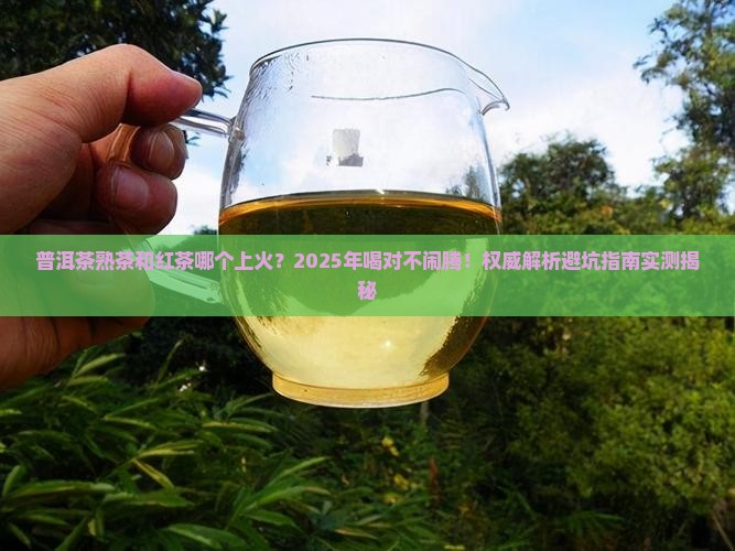 普洱茶熟茶和红茶哪个上火