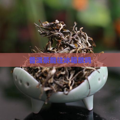 普洱茶能往冰箱放吗