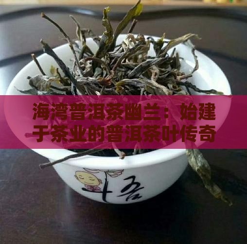 海湾普洱茶幽兰