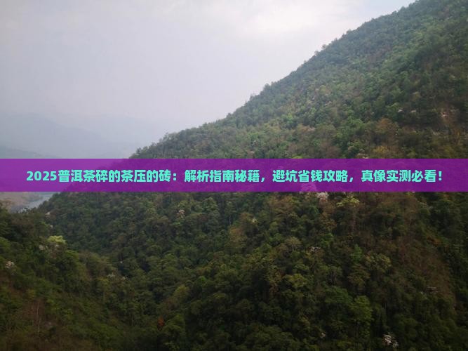 普洱茶碎的茶压的砖