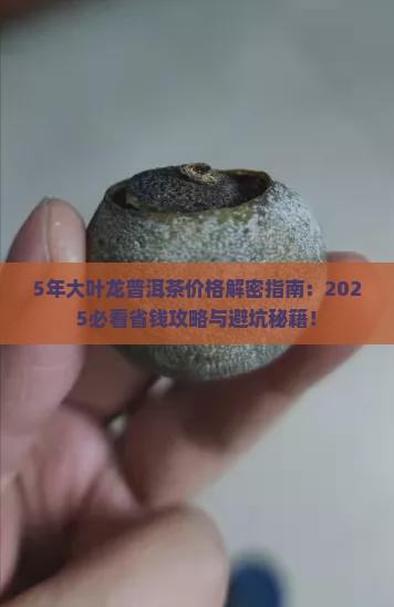 5年大叶龙普洱茶价格