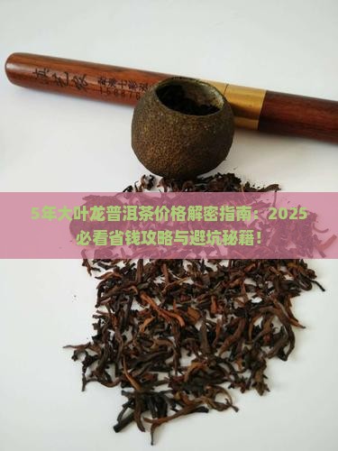 5年大叶龙普洱茶价格
