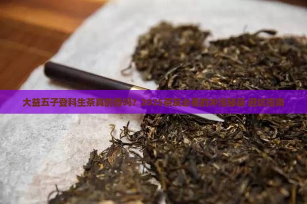 大益五子登科生茶