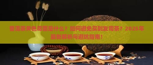 普洱茶黄色霉菌