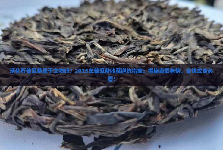 活化石普洱茶属于文物吗