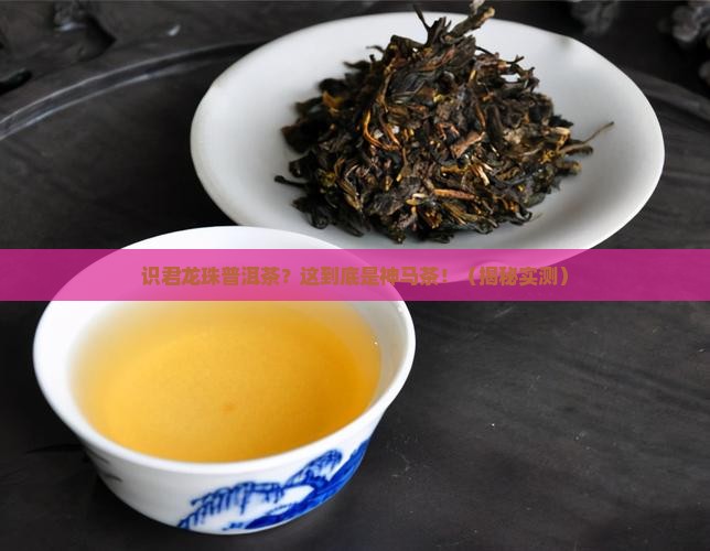 识君龙珠普洱茶
