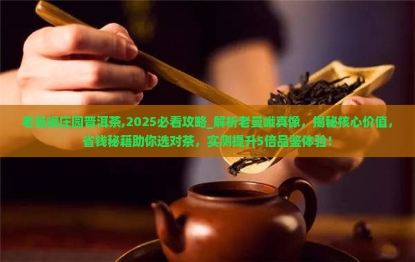 老曼峨庄园普洱茶