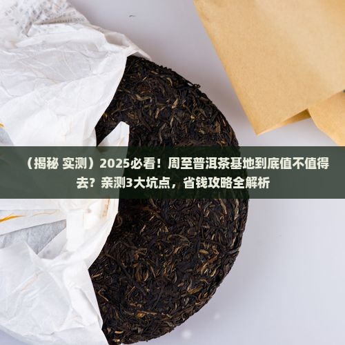 周至普洱茶基地