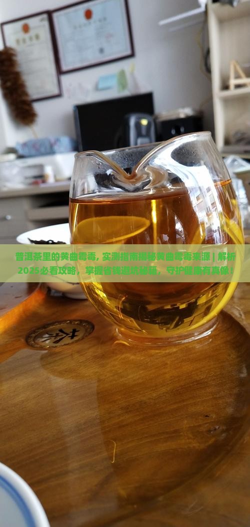 普洱茶里的黄曲霉毒