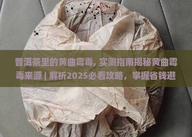 普洱茶里的黄曲霉毒