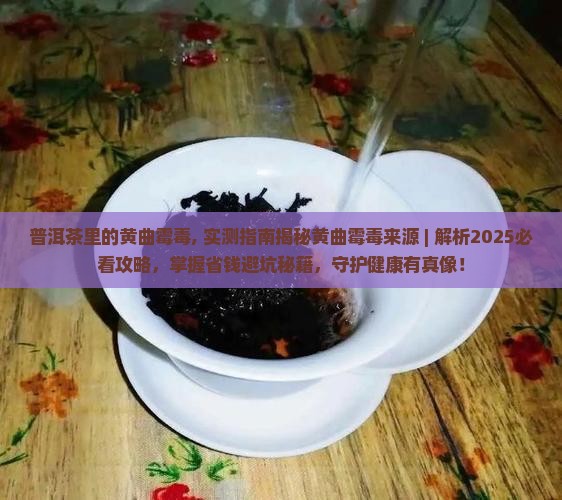 普洱茶里的黄曲霉毒