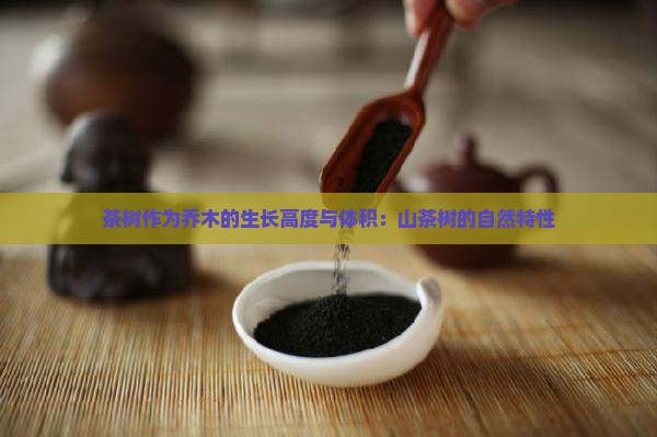 茶叶树能长多高多大