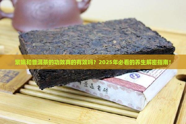 紫娟和普洱茶的功效