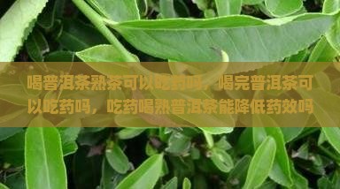 喝普洱茶熟茶可以吃药吗