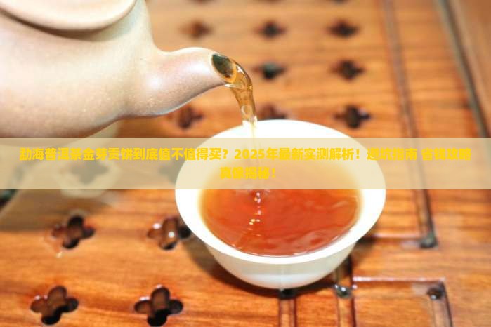 勐海普洱茶金芽贡饼