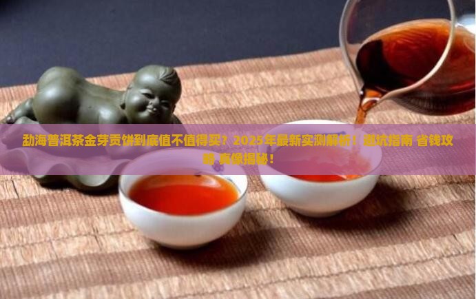 勐海普洱茶金芽贡饼