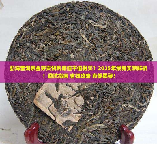 勐海普洱茶金芽贡饼