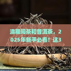 滇藏间茶和普洱茶