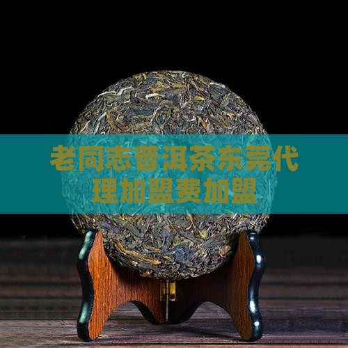 老同志普洱茶东莞代理