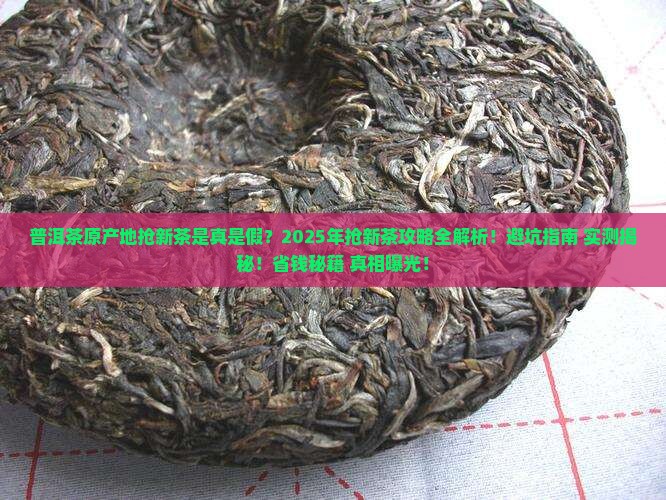普洱茶原产地抢新茶是真的吗